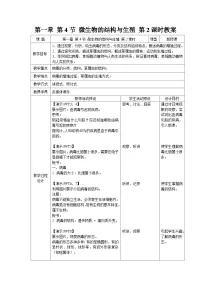 浙教版（2024）七年级下册（2024）微生物的结构与生殖第2课时教案