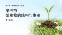 科学七年级下册（2024）微生物的结构与生殖备课课件ppt