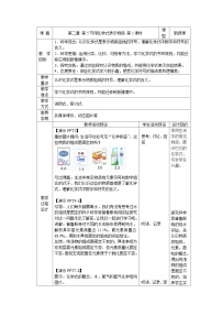 科学七年级下册（2024）用化学式表示物质第1课时教案