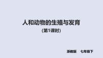 七年级下册（2024）人和动物的生殖与发育课堂教学ppt课件