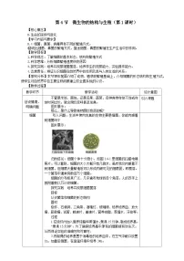 浙教版（2024）七年级下册（2024）微生物的结构与生殖第1课时教案