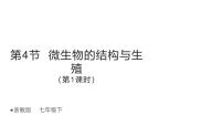 初中科学浙教版（2024）七年级下册（2024）微生物的结构与生殖示范课ppt课件