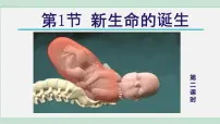 初中科学浙教版（2024）七年级下册新生命的诞生集体备课课件ppt