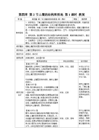 浙教版（2024）七年级下册（2024）土壤的结构和质地第1课时教案