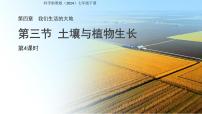 初中浙教版（2024）土壤与植物生长图文课件ppt