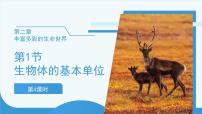 初中科学浙教版（2024）七年级上册（2024）生物体的基本单位完整版课件ppt