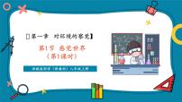初中科学浙教版（2024）八年级上册（2024）第1节 感觉世界试讲课ppt课件