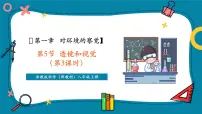 初中科学浙教版（2024）八年级上册（2024）第5节 透镜和视觉获奖课件ppt