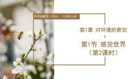 初中第1章 对环境的觉察第1节 感觉世界教学ppt课件