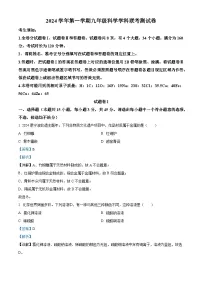 精品解析：浙江省宁波市鄞州区十二校联考2024-2025学年九年级上学期10月月考科学试题（解析版）