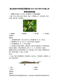 浙江省绍兴市柯桥区联盟学校2024-2025学年七年级上学期期末模拟预测科学试卷（解析版）