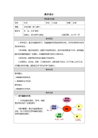 初中科学常见的酸教案