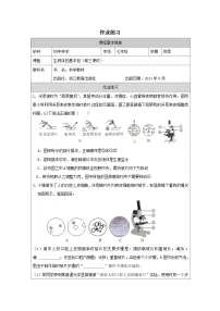 浙教版（2024）七年级上册（2024）生物体的基本单位综合训练题