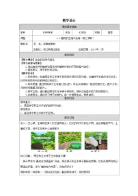 初中科学浙教版（2024）七年级下册（2024）植物的生殖与发育教案