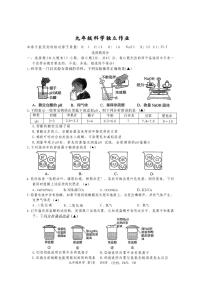 浙江省杭州市临平区2025-2026学年上学期10月月考九年级科学试题