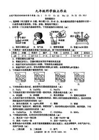 杭州市临平区临平初中2025年10月九上科学月考卷及答案
