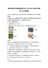 浙江省杭州市江南实验学校2025-2026学年七年级上学期第一次月考科学试题（解析版）
