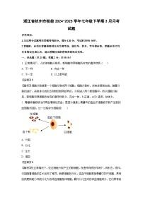 浙江省杭州市校级2024-2025学年七年级下学期3月月考科学试卷（解析版）