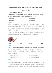 浙江省绍兴市柯桥区名校2025-2026学年八年级上学期10月月考科学试卷（解析版）