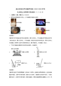 浙江省绍兴市诸暨市名校2024-2025学年九年级上学期期中测（1.1-3.3）科学试卷（解析版）