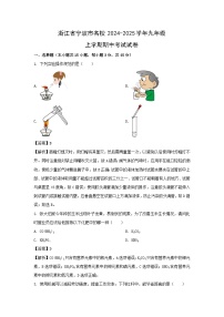 浙江省宁波市名校2024-2025学年九年级上学期期中考试科学试卷（解析版）