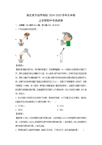 浙江省宁波市名校2024-2025学年九年级上学期期中考试科学试卷（解析版）