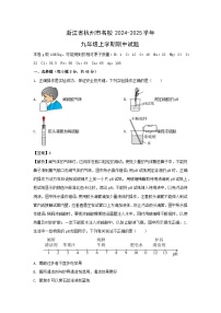 浙江省杭州市名校2024-2025学年九年级上学期期中科学试卷（解析版）