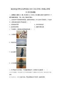 浙江省金华市义乌市名校2025-2026学年八年级上学期10月月考科学试卷