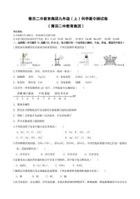 浙江省丽水市青田县第二中学教育集团2025-2026学年九年级上学期期中考试科学试题