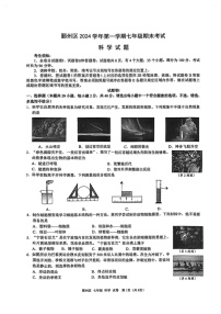 浙江省宁波市鄞州区2024-2025学年七年级上学期期末考试科学试卷