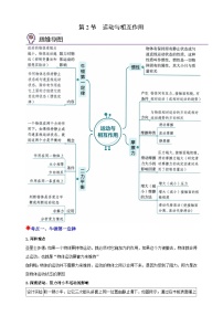 浙教版（2024）八年级上册（2024）第2节 运动与相互作用优质学案及答案