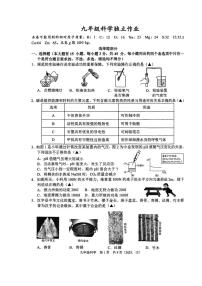 浙江省杭州市临平区2025-2026学年九年级上学期12月月考科学试题