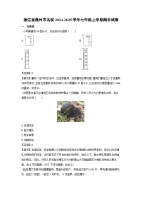 浙江省温州市名校2024-2025学年七年级上学期期末科学试卷（解析版）