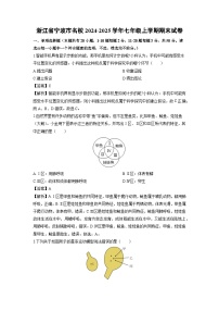 浙江省宁波市名校2024-2025学年七年级上学期期末科学试卷（解析版）