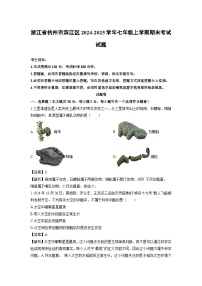 浙江省杭州市滨江区2024-2025学年七年级上学期期末考试科学试卷（解析版）