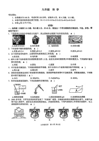 浙江省台州市临海市2024-2025学年九年级上学期期末科学试卷