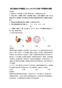 浙江省丽水市莲都区2024-2025年七年级下学期期末科学试卷（解析版）