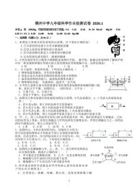 浙江省金华市义乌市稠州中学2025-2026学年九年级上学期1月独立作业科学试卷（含答案+答题卡）
