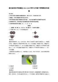 2024-2025学年浙江省杭州市西湖区七年级下学期期末考科学试卷（解析版）