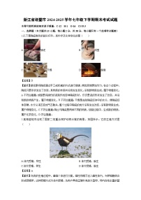 2024-2025学年浙江省诸暨市七年级下学期期末考试科学试卷（解析版）