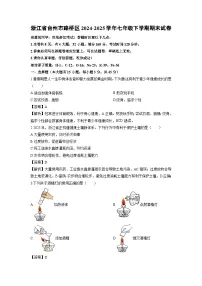 2024-2025学年浙江省台州市路桥区七年级下学期期末科学试卷（解析版）