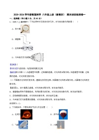 2025-2026学年浙教版科学 八年级上册（新教材） 期末培优检测卷一（教师版+学生版）