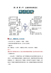 初中科学浙教版（2024）七年级下册（2024）生物体的结构层次精品导学案