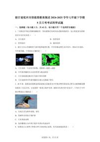 2024~2025学年浙江省杭州市保俶塔教育集团七年级下册5月月考考试科学试题 【附答案】
