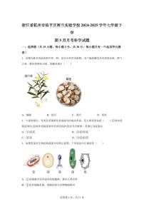 2024~2025学年浙江省杭州市临平区树兰实验学校七年级下册5月月考科学试题【附答案】