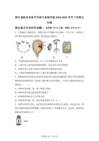 2024~2025学年浙江省杭州市临平区树兰实验学校七年级下册期末独立作业科学试题【附答案】