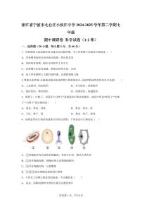 2024~2025学年浙江省宁波市北仑区小浃江中学七年级下册期中科学试题 【附答案】