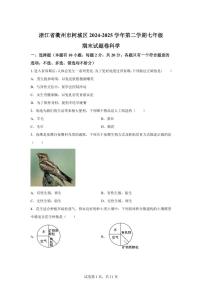 2024~2025学年浙江省衢州市柯城区七年级下册期末考试科学试题【附答案】