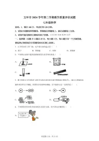2024~2025学年浙江省台州市玉环市七年级下册6月期末科学试题 【附答案】