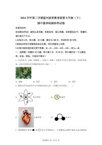 2024~2025学年浙江省温州市温州市新质联盟七年级下册4月期中科学试题【附答案】